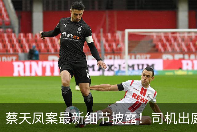 蔡天凤案最新细节披露！司机出庭，案发前被停职，由邝港杰顶替