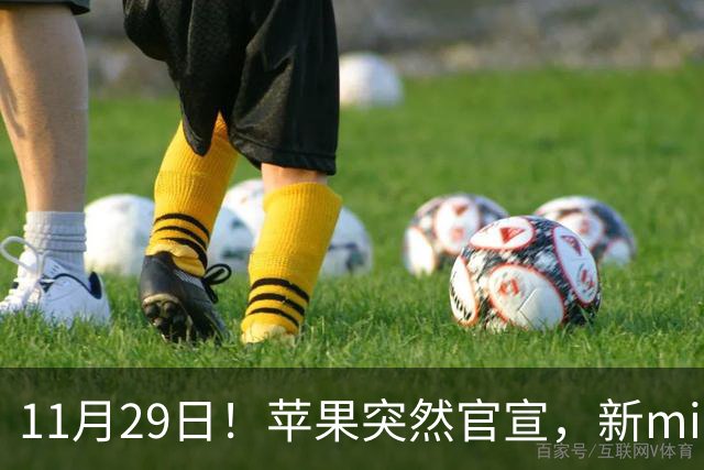 11月29日！苹果突然官宣，新mini和Pro来了！